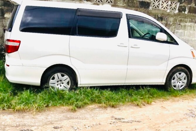 Private Transfer From Karume International Airport to Paje - Pickup and Drop-off