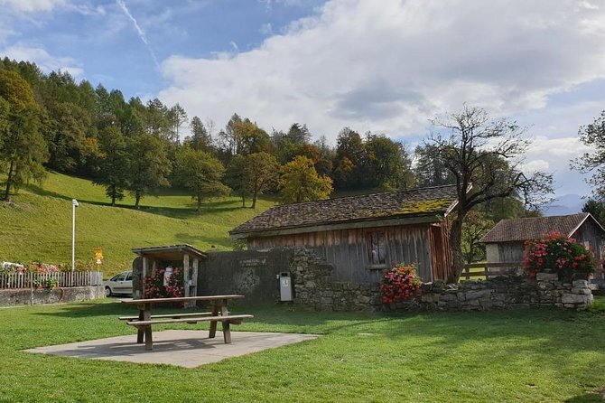 Private Trip From Zurich to Vaduz in Liechtenstein & Swiss Heidiland - Included Services