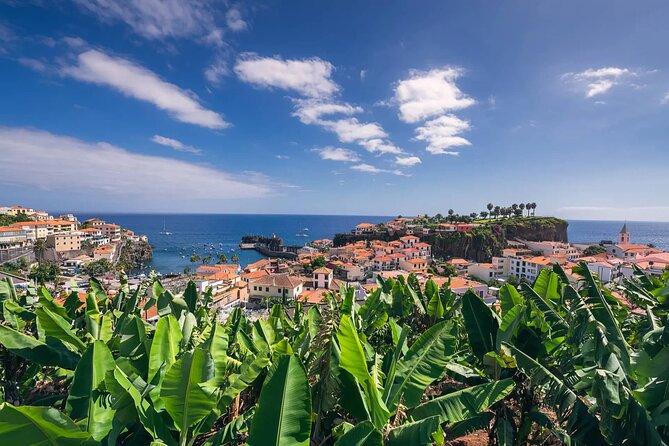 Private Tuk Tuk Tour on Câmara De Lobos, Fishing Village - Highlights of the Fishing Village