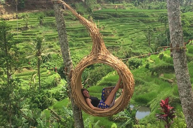 Private Ubud Tour Car Charter And Customs Itinerary - Included Services and Amenities