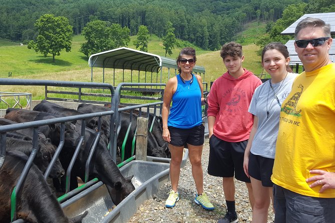 Private Walking Tour of a Real Working Cattle Ranch - Observe Cattle Behavior and Care