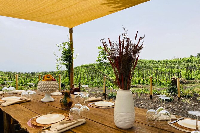 Private Wine and Food Tasting Immersed in Nature in Milo - Culinary Highlights