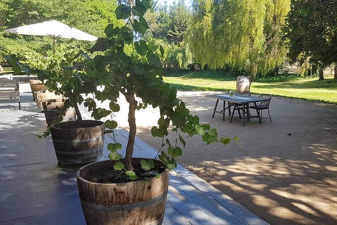 Private Wine Tour in Valparaiso - Scenic Views