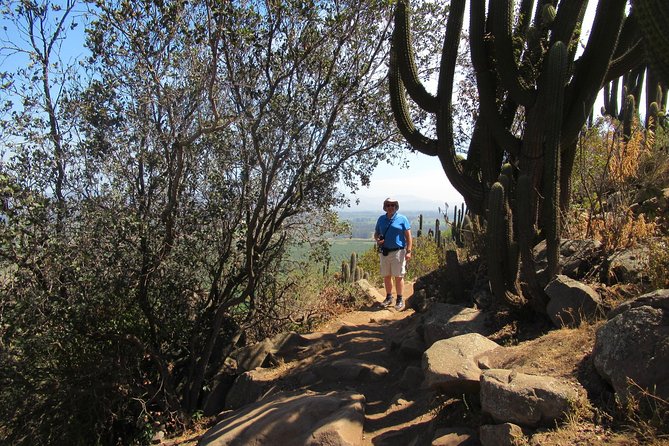 Private Wine Trekking Tour Including Chilean Country Grill - Hiking Experience