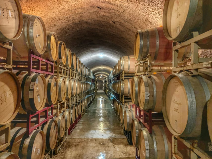 Private Winery Tour - Experience Highlights