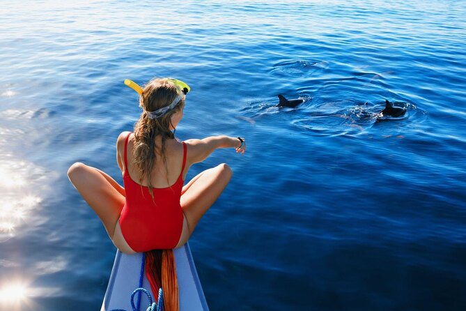 Private Yacht Cruise to Dolphin House With Lunch : Hurghada - Itinerary Overview