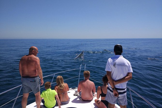 Private Yacht Hire in The Algarve - Majestic - Champagne Welcome and Open Bar