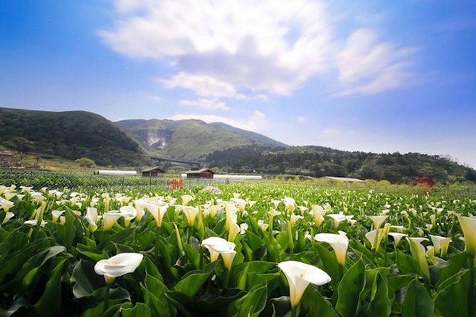 Private Yangmingshan & Beitou Tour From Taipei With Pickup - Itinerary Overview