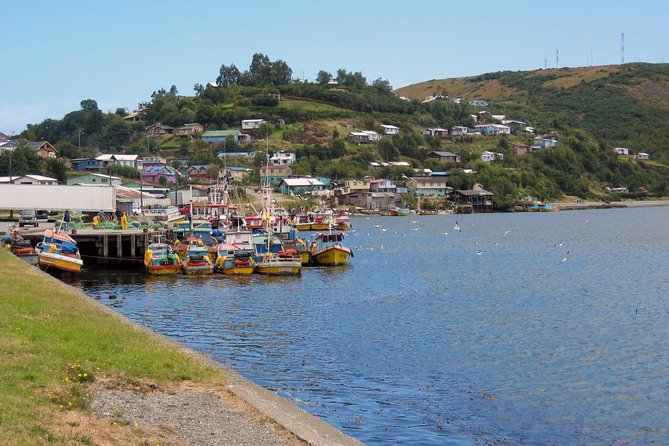 Puerto Montt: Full Day Chiloe Island Visiting Ancud - Caulin - Lacuy - Inclusions and Exclusions