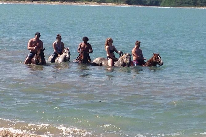Puerto Plata: Beach Half Day Horseback Riding - Customer Reviews and Feedback