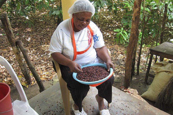 Puerto Plata: Cultural Escape Tour in Puerto Plata - Accessibility and Participation