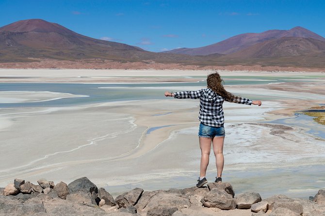 Puna Salt Flats - Full Day Tour - San Pedro De Atacama - Must Visit - Aguada De Quepiaco: Wildlife Oasis