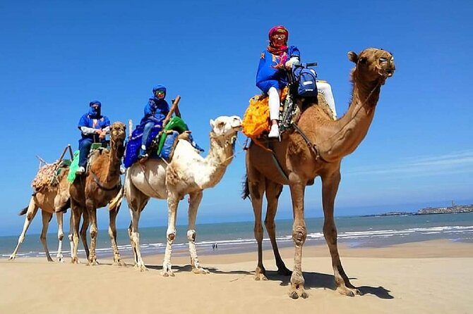 Quad Biking and Camel Ride Experience - Quad Biking Adventure