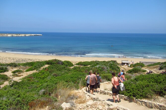 Quad or Buggy Tour From Coral Bay to Akamas Forest - Exploring Akamas National Forest
