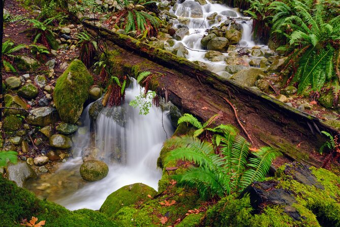 Quarry Rock Hike and Deep Cove Photography - Health and Accessibility