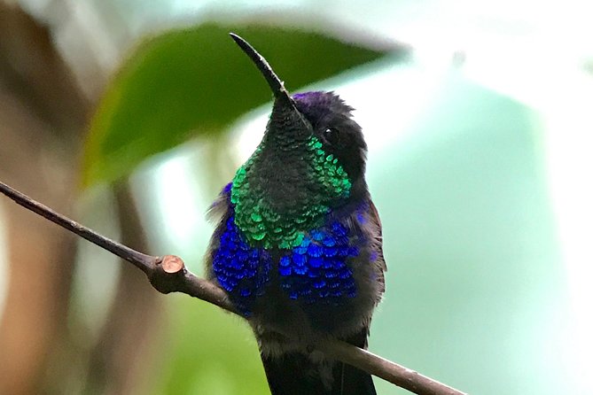 Rainmaker Tour - Conservation Efforts