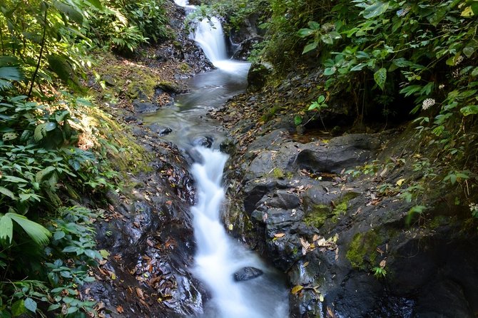 Rainmaker Waterfalls and Hanging Bridges From Manuel Antonio - Rainforest Highlights
