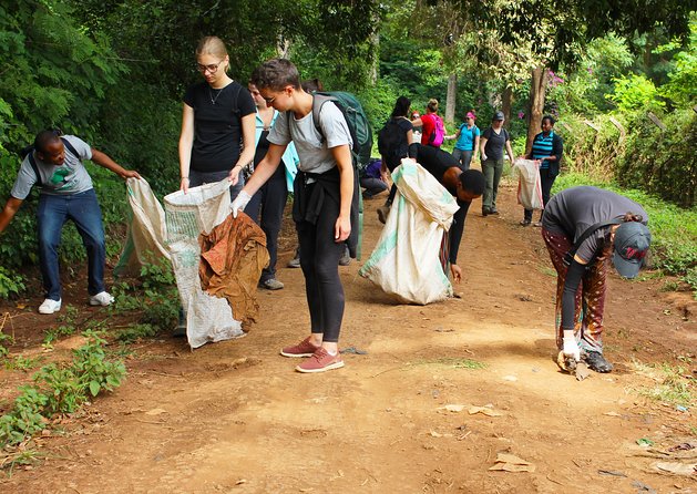 Rau Forest Nature Walk (One Trip - One Tree) - Experience Highlights