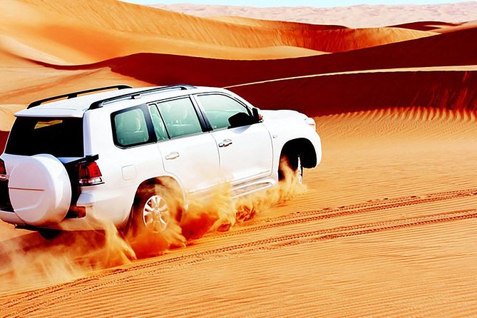 Red Dunes Safari With BBQ Dinner, Falcon and Camel Ride - Inclusions and Activities