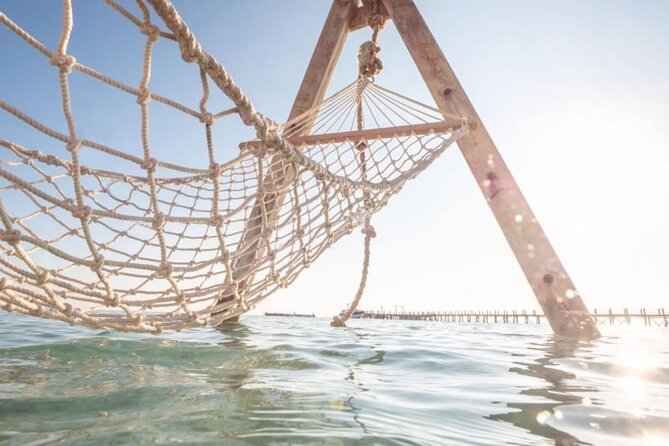 Red Sea: Orange Island Speedboat Full Day Tour With Lunch - Snorkeling and Marine Life