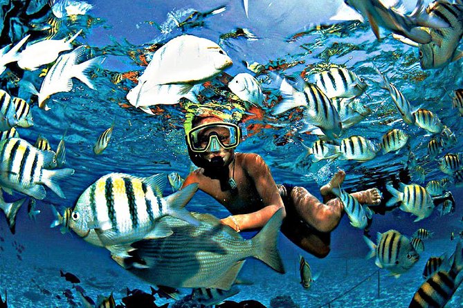 Reef Snorkel & Ocean Paddle Adventure in Fort Lauderdale Beach - Guided Instructions and Support