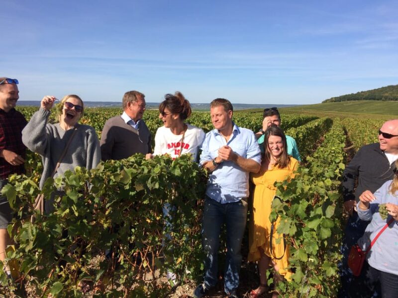 Reims/Epernay: Champagne Day Tour With Tastings - Itinerary Highlights