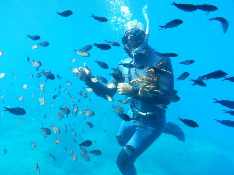 Rhodes Town: Yellow Submarine Cruise With Underwater Views - Itinerary Highlights