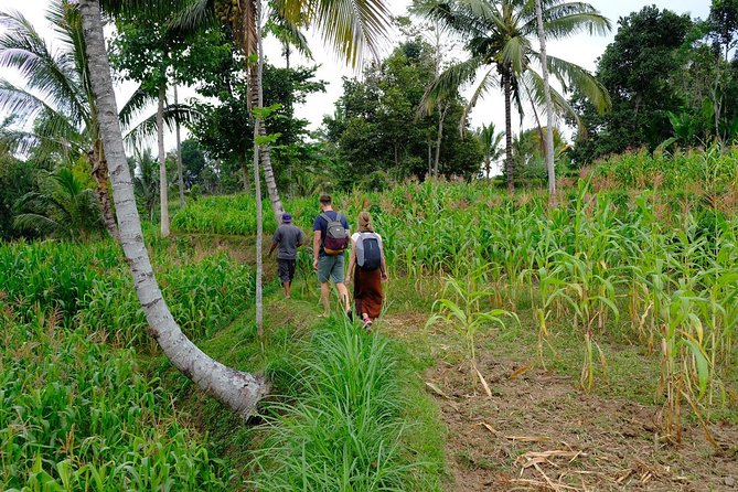 Rice Paddies, Local Villages and Handicraft - Tour Logistics and Details