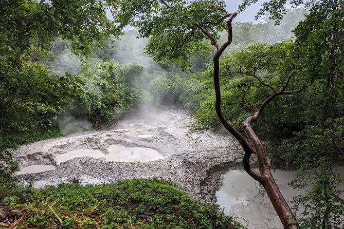 Rincón De La Vieja Volcano Hike & Hot Springs Full Day - Meeting and Pickup Details