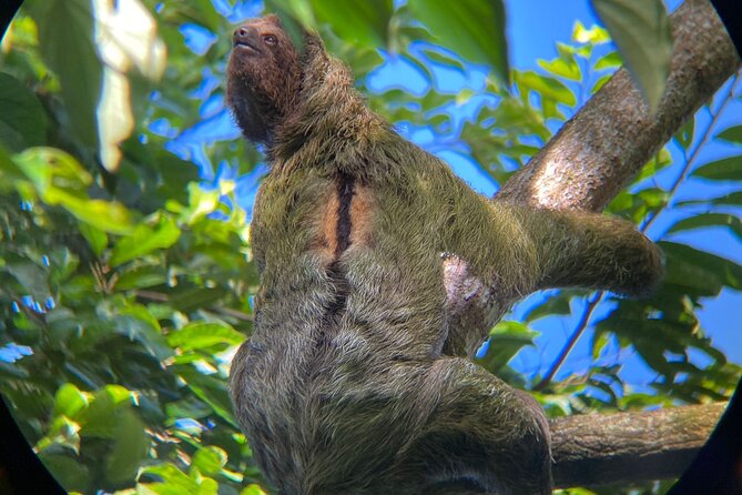Rio Celeste Rain Forest Tour - Llanos De Cortez Waterfalls
