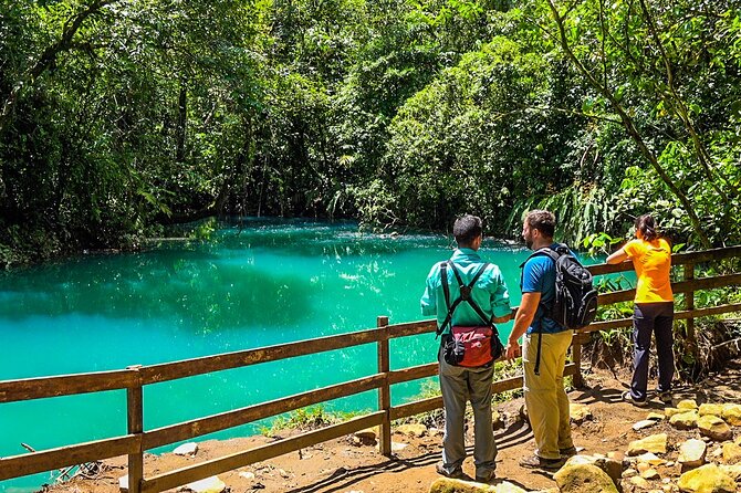 Río Celeste Waterfall - Rainforest Hike, Incl Lunch. - Highlights of the Hike