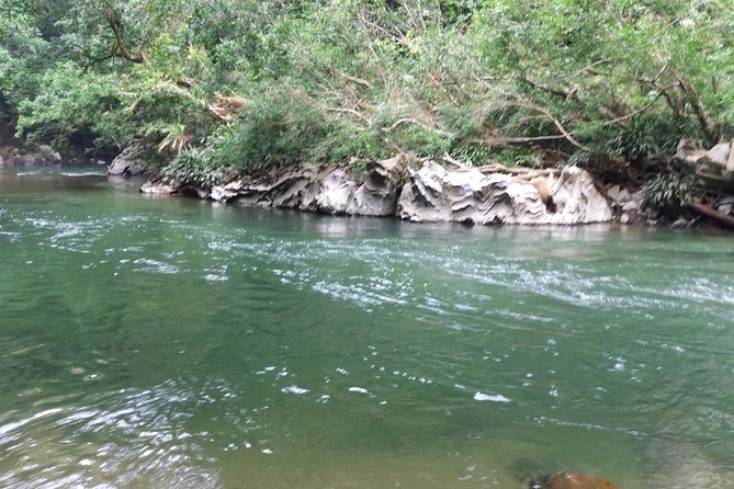 Rio Claro Jungle River Private Tour From Medellín - Transportation Details