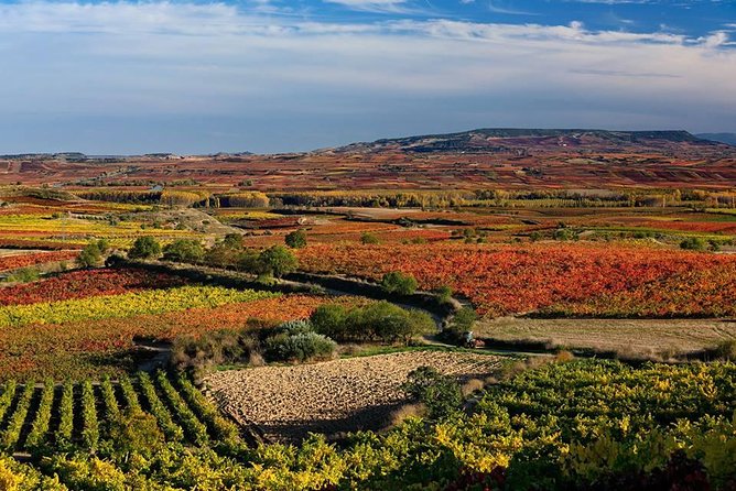 Rioja Alavesa Wineries and Medieval Villages Day Trip - Explore Renowned Wine Region