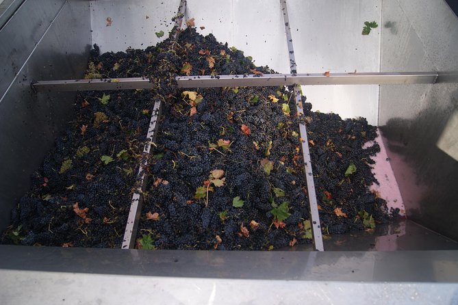 Rioja Wine Tour: Winery, Tasting & Lunch From San Sebastian - Exploring La Rioja Countryside