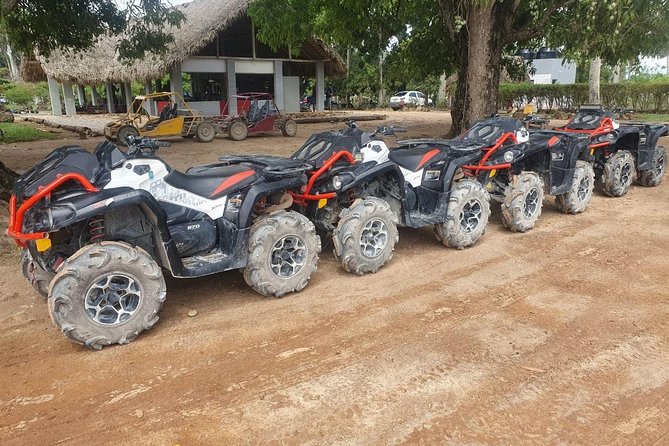River Cave and Macao Beach Half-Day Quad Bike Adventure - Itinerary Highlights