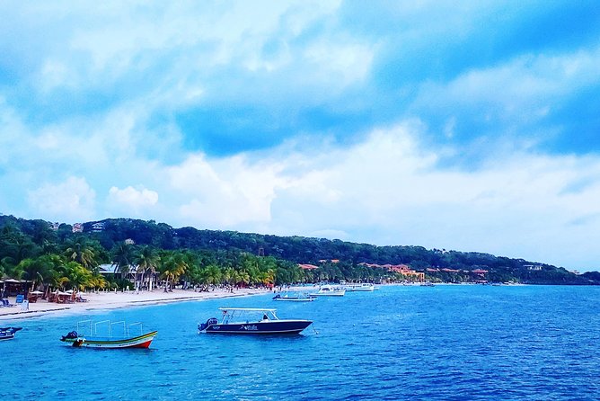 Roatan City Tour and Beach Break at West Bay - Transportation and Accessibility