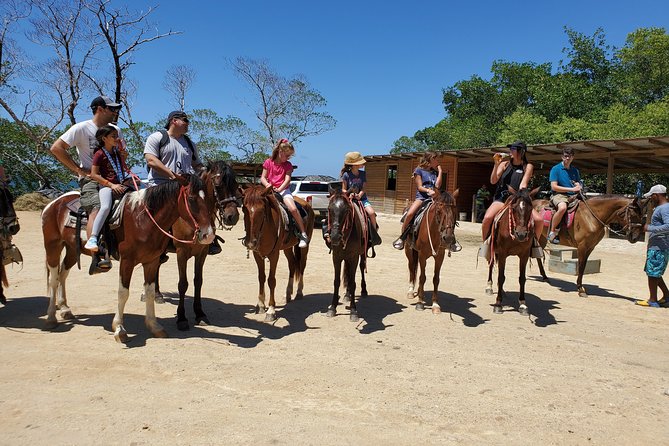 Roatan Excursion: Horseback Ride / Plus Sloth Park and Glass Bottom Boat - Private Tour Benefits