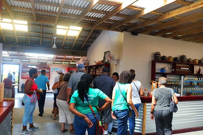 Roatan Sightseeing to the Chocolate, Cameo, Cigars & Rum Factories - Inclusion and Pricing