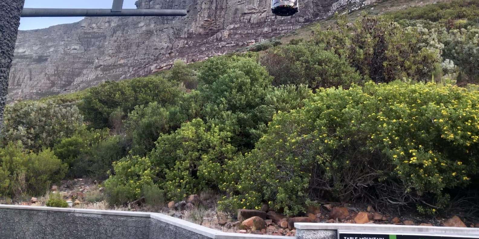 Robben Island and Table Mountain Full-Day Tour in Cape Town - Robben Island Highlights