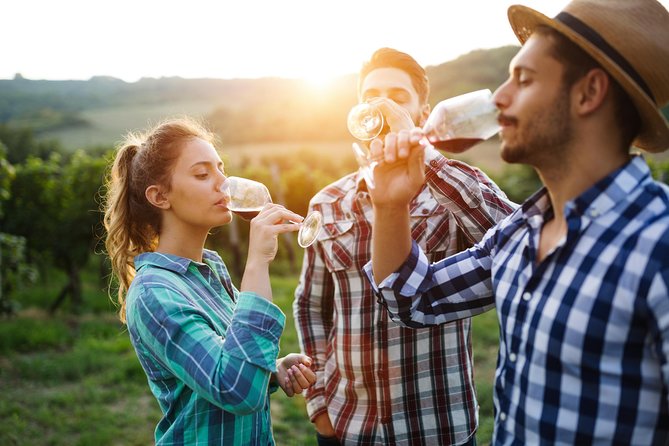 Romanian Wine Tasting - Wine Tasting Experiences