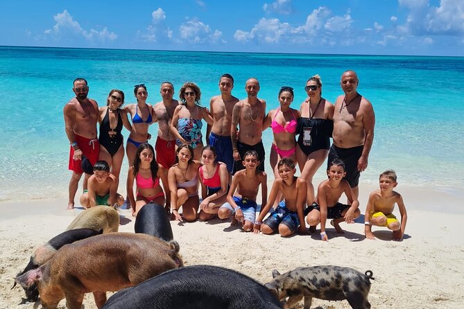 Rose Island Swimming Pigs Half-Day Boat Tour With Lunch - Tour Experience Highlights