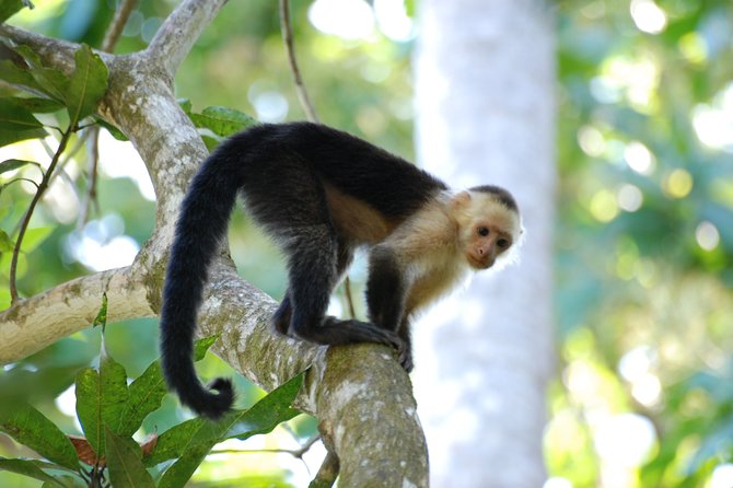 Round Trip Liberia Airport Guanacaste, Arenal La Fortuna - Pickup and Drop-off Procedures