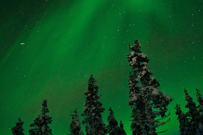 Rovaniemi: Northern Lights Tour - Guided Tour Features