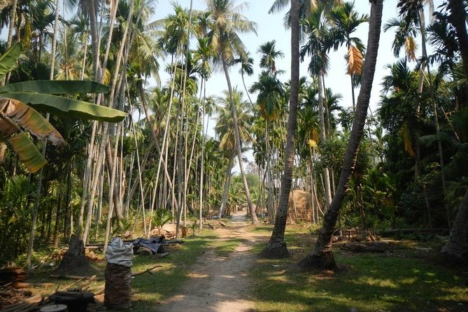 Ruins Temples of Beng Mealea Cycling Tour - Cycling Route Details