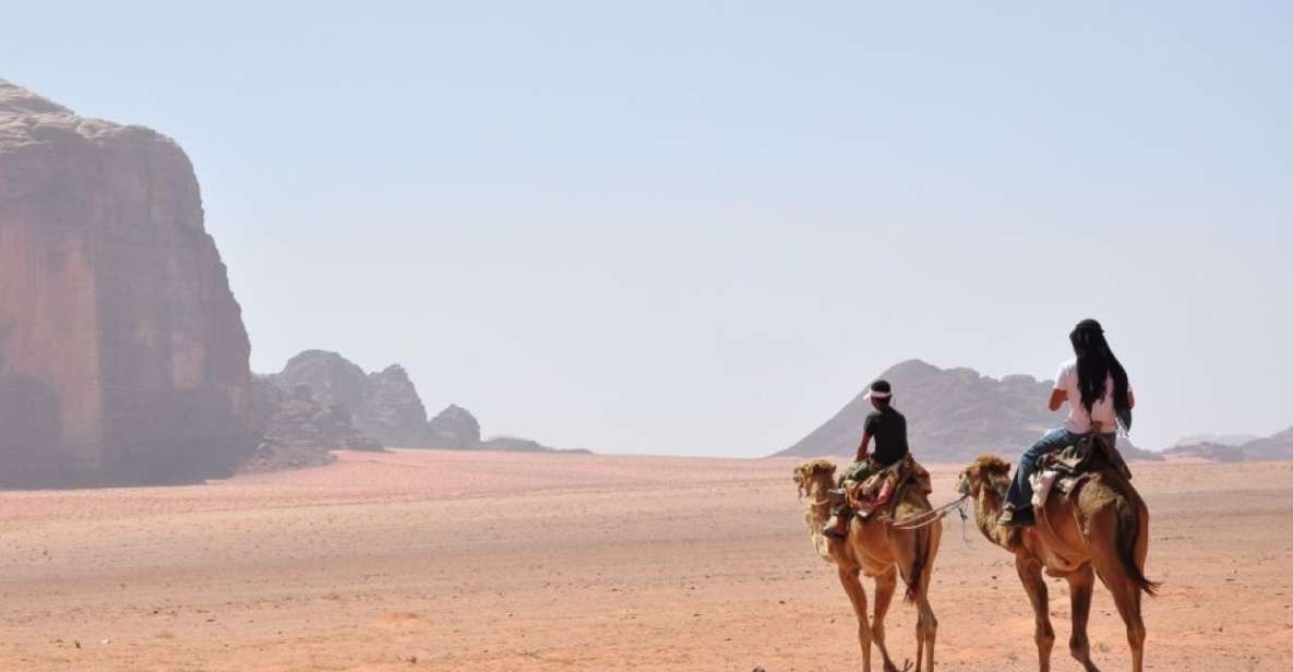 Sahl Hasheesh: Quad, Jeep, Buggy, Camel W/ Dinner & Show - Itinerary and Experience Highlights