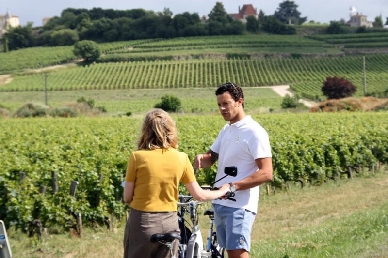 Saint-Emilion E-Bike Wine Tour - 2 Wineries & Picnic Lunch - Itinerary Highlights
