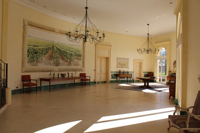 Saint Emilion Half Day Ebike and Wine Tour With Picnic. - Inclusions