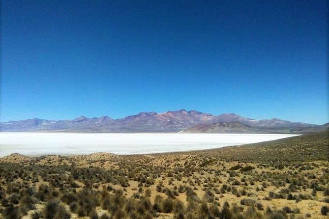 Salinas Salt Lagoon Private Tour - Day Trip From Arequipa - Itinerary and Activities