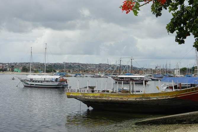 Salvador Lower City Tour - Half a Day to Experience a Different Salvador. - Fort of Monte Serrat