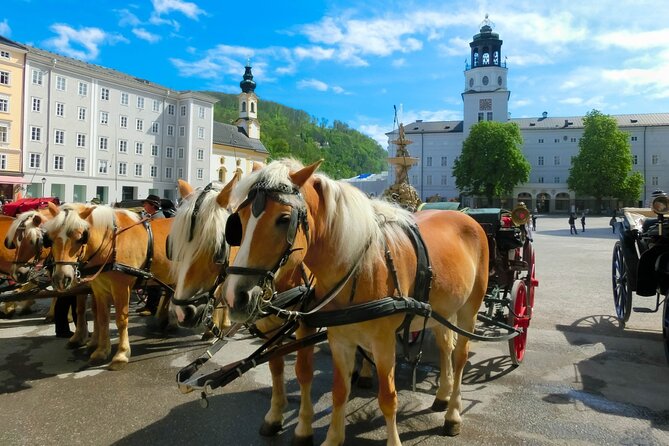 Salzburg and Lake Region Private Day Trip From Vienna - Inclusions and Exclusions